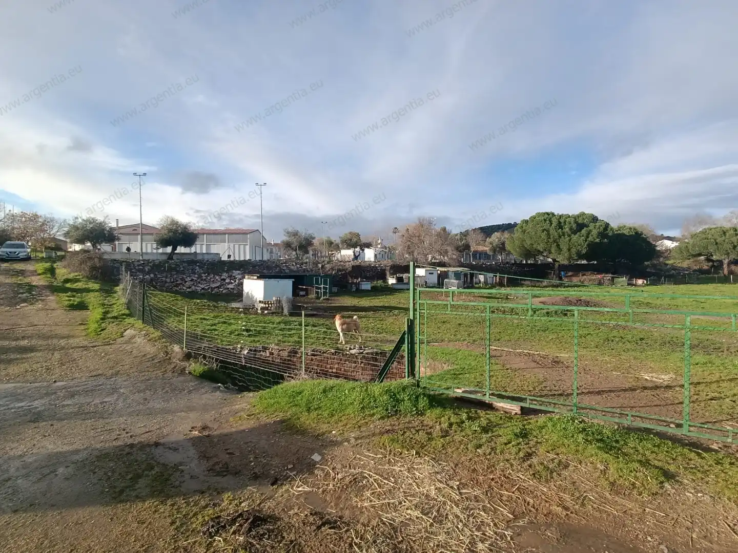 Terreno rustico in vendita a A-8175 17, imagen 7