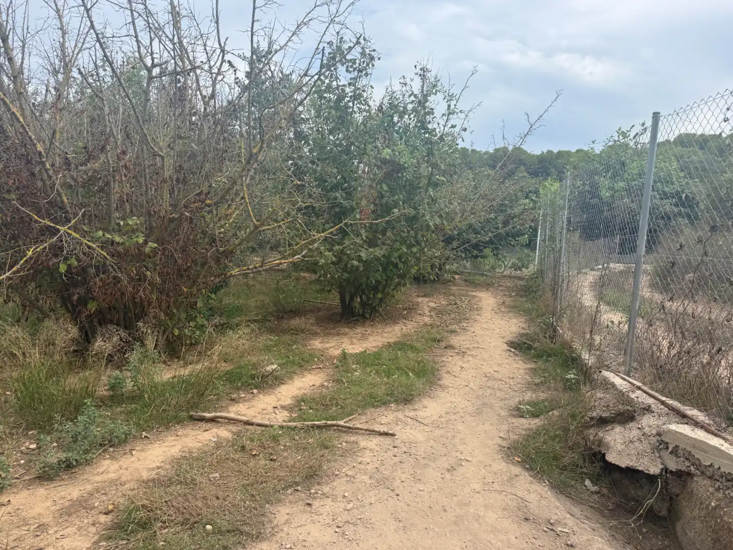 Terreny rústic en venda a Carretera del Catllar 22, imagen 13