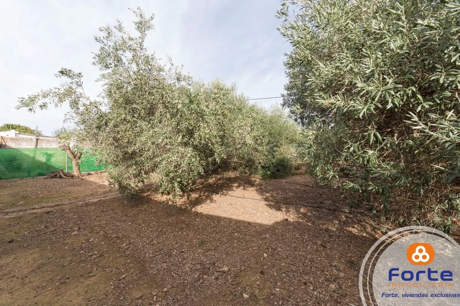 Villa zum Verkauf in Almodóvar del Río, imagen 16