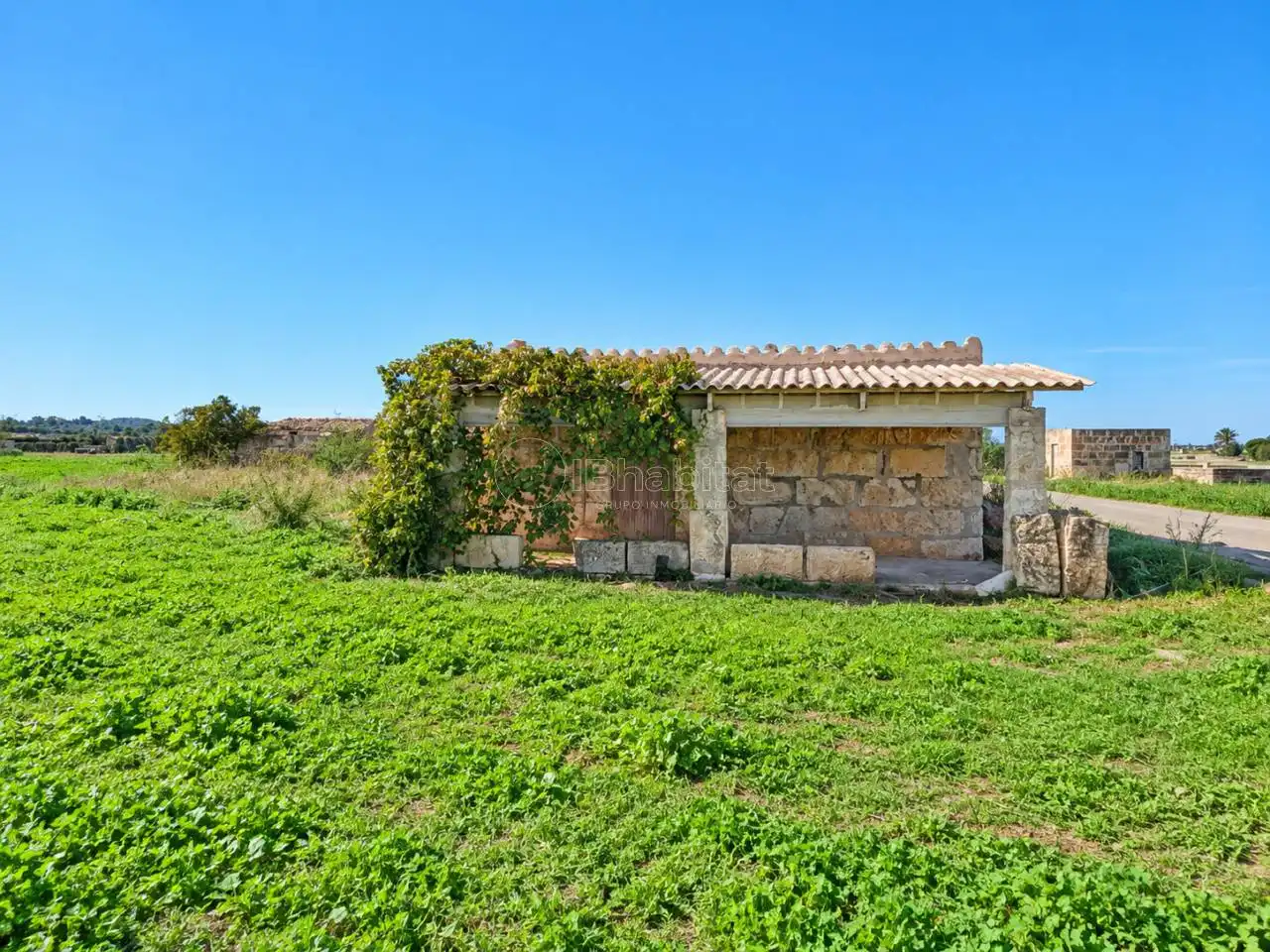 Terrain rustique à vendre à Sa Pobla, imagen 2