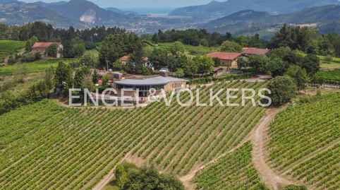 Foto 3 de Casa o xalet en venda a Muxika, Bizkaia