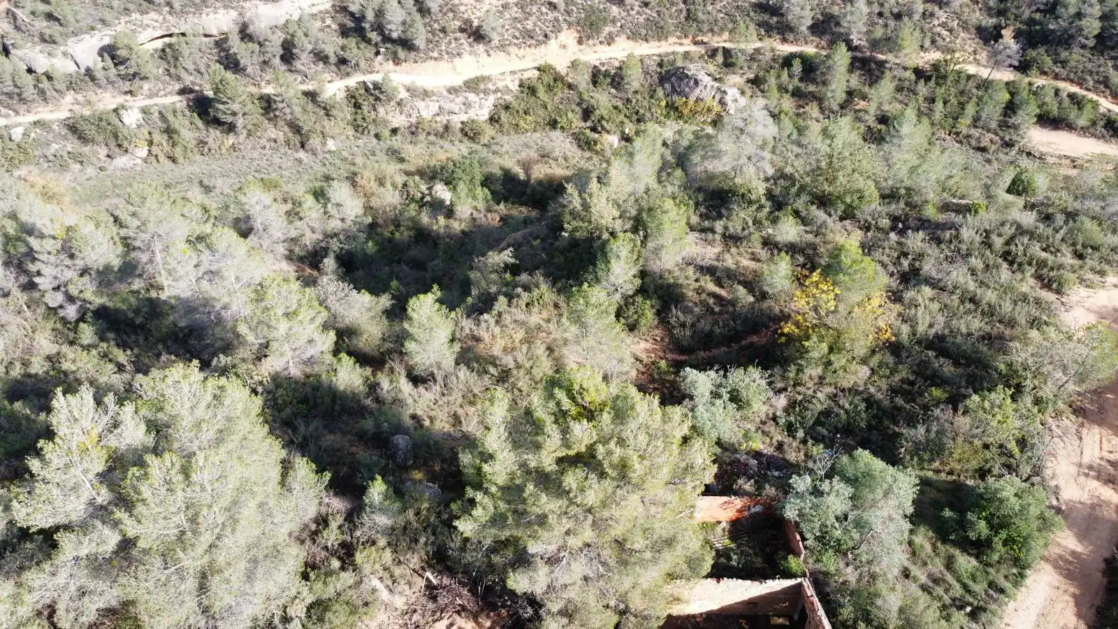 Terreno rustico in vendita a Cervià de Les Garrigues, imagen 19