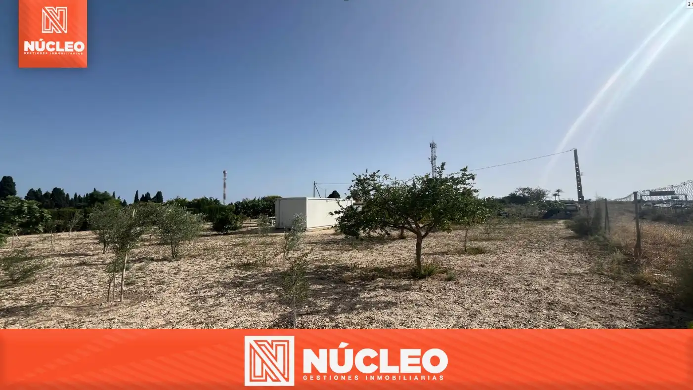 Rural land for sale in Avenida de la Cruz