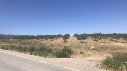 Finca de almendros en Padul - Carretera de la cabra, immagine 4