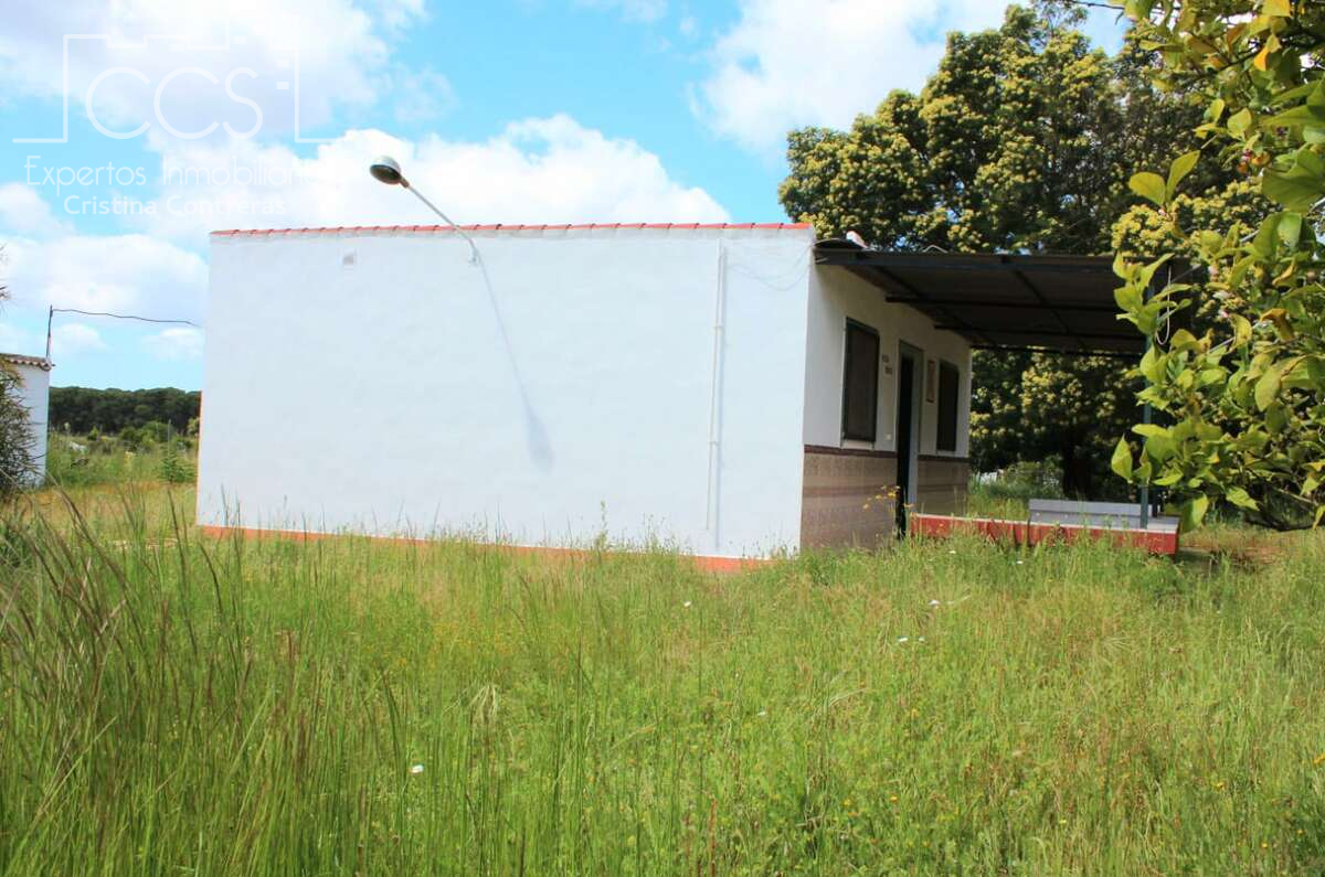 Vista exterior de Finca rústica en venda en Almonte amb Traster i Moblat