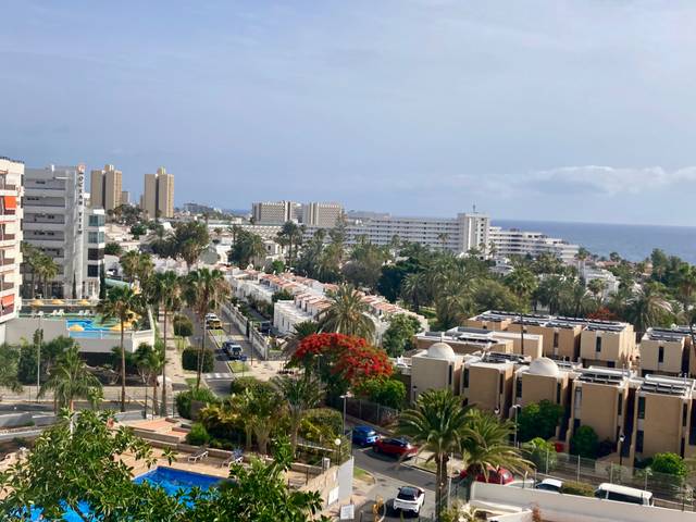 Estudio en Venta en Calle Venezuela, 13 en Playa de las Américas