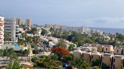 Foto 2 de Estudi en venda a Calle Venezuela, 13, Playa de las Américas, Adeje
