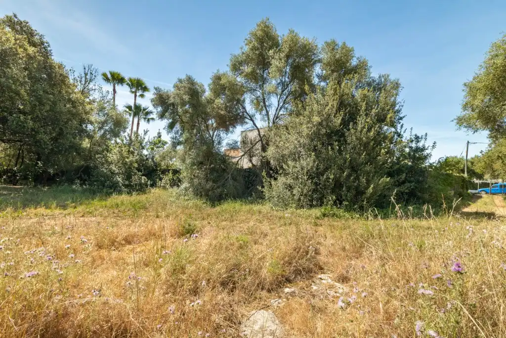 Terreno rustico in vendita a Pollença Poble, imagen 2