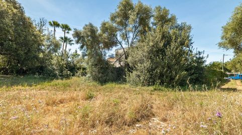 Parcela residencial edificable en venta cerca de Pollensa, Mallorca, immagine 2