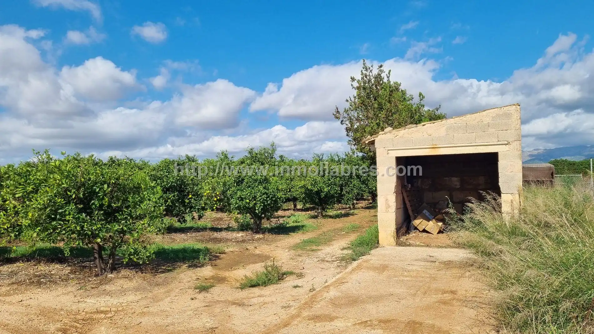 Maison rustique à vendre à Muro, imagen 11
