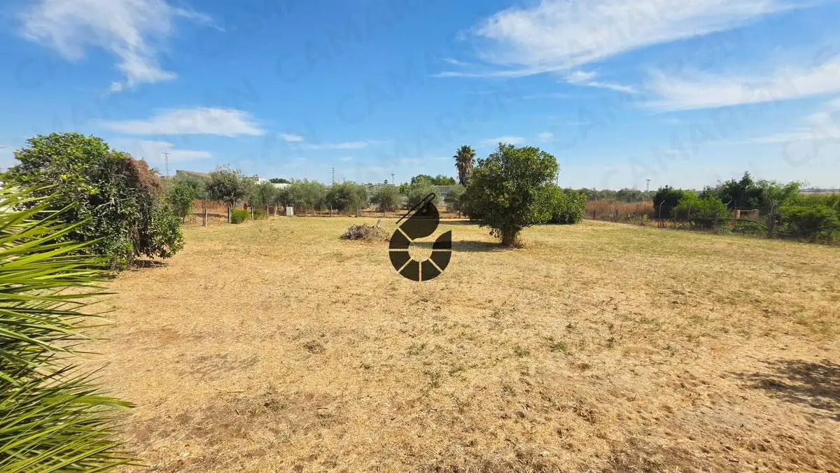 Finca rústica en venda en Coria del Río amb Jardí privat i Piscina