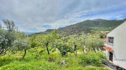Foto 5 de Finca rústica en venta en Periana, Málaga