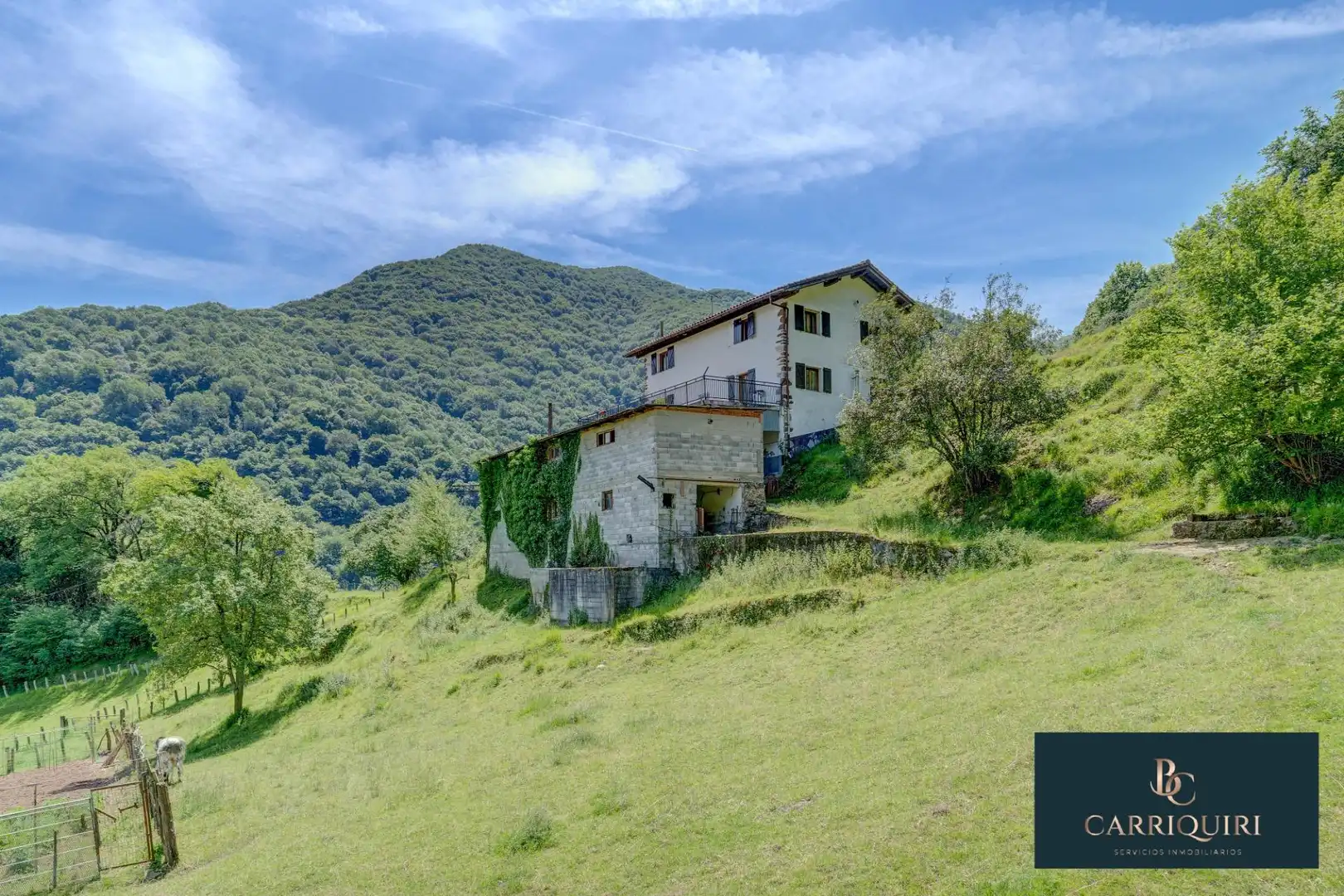Exterior view of Houses for sale in Oiz