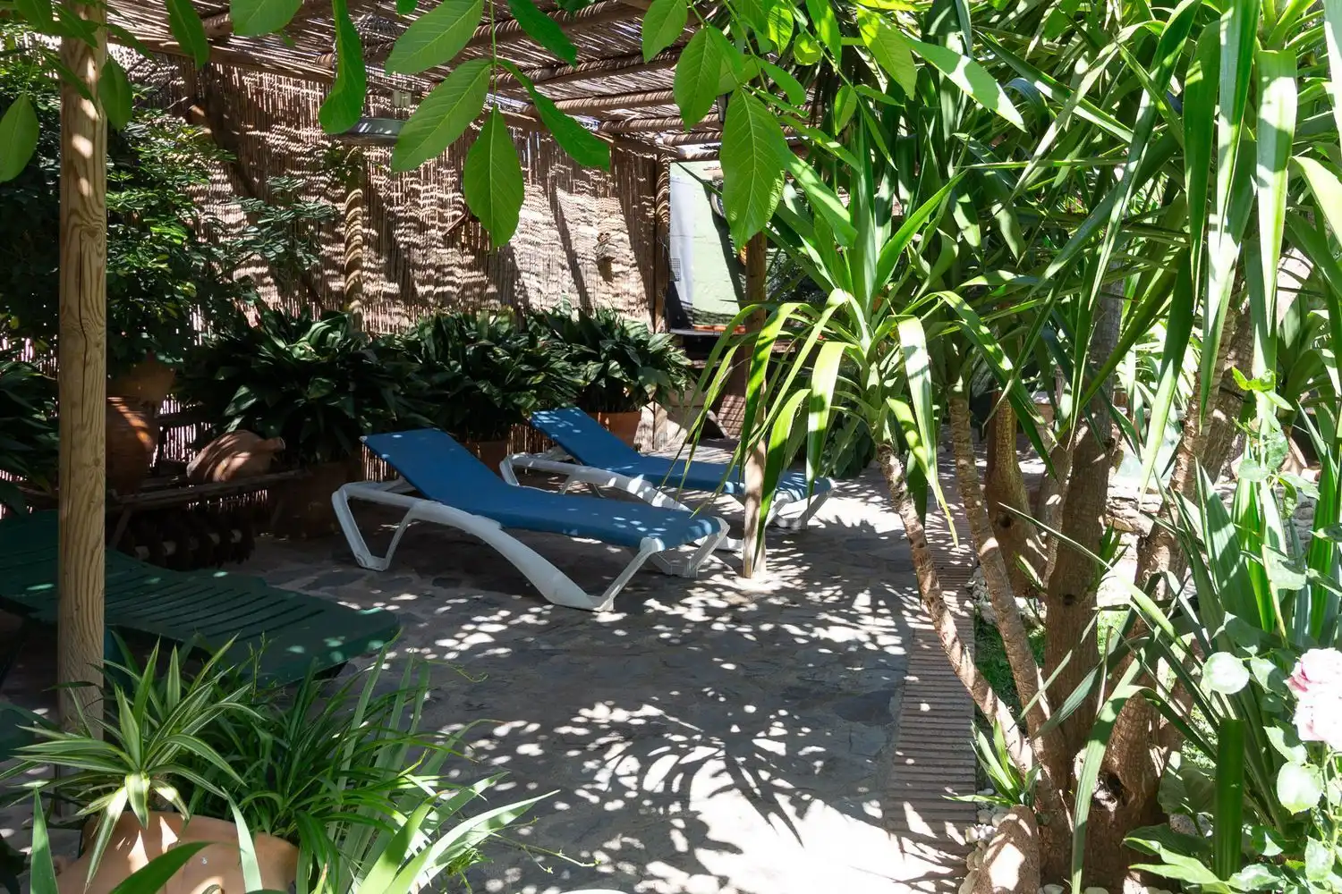 Villa mit Pool zur Miete in Calle Pasion 9, imagen 41