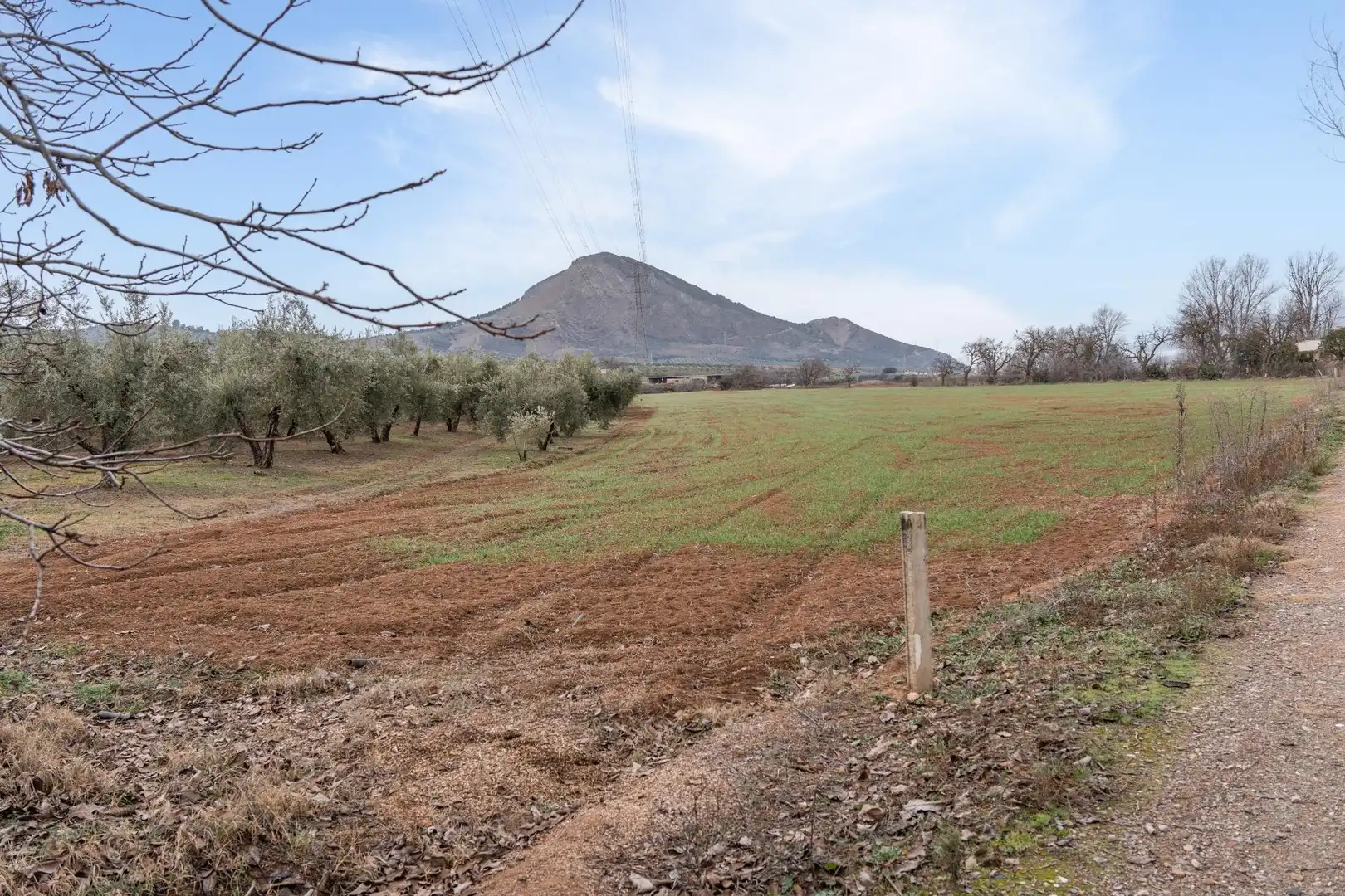 Terrenys i solars en venda a Polígono 23 Parcela 63 LA ZANJA. ALBOLOTE (GRANAD 23, imagen 20