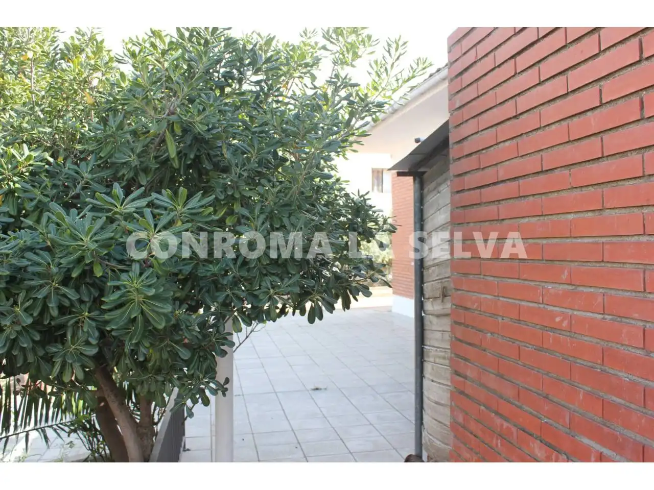 House with pool for sale in Calle Romaní, imagen 26