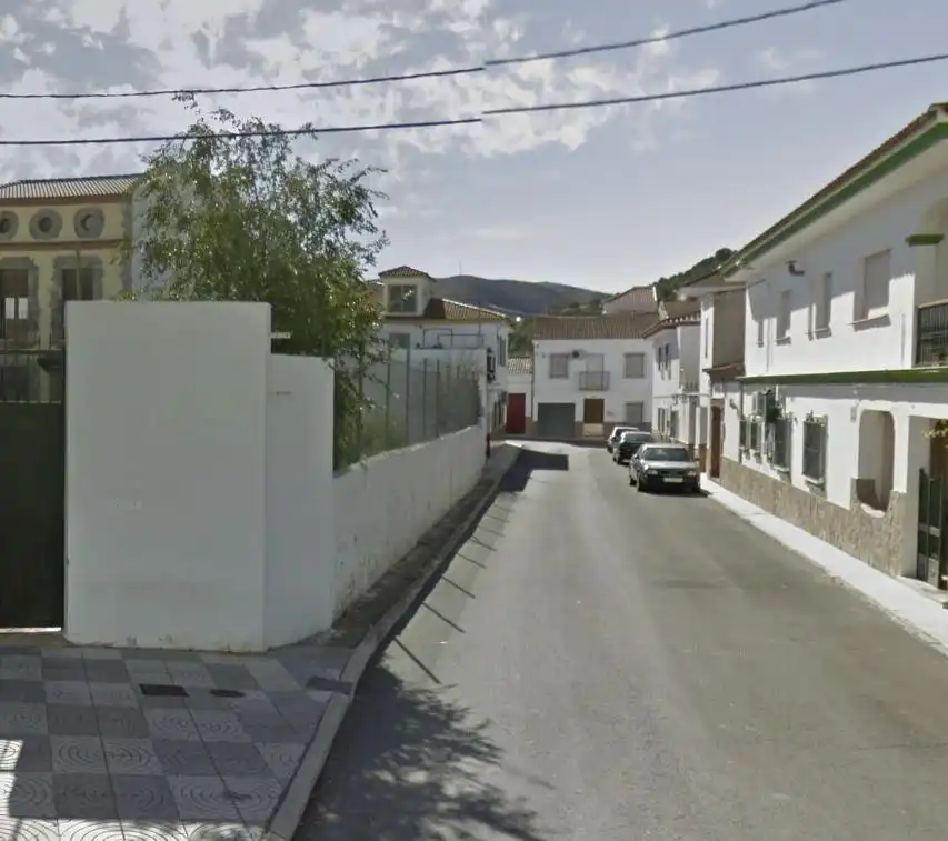 House with garden for sale in Calle PICASSO