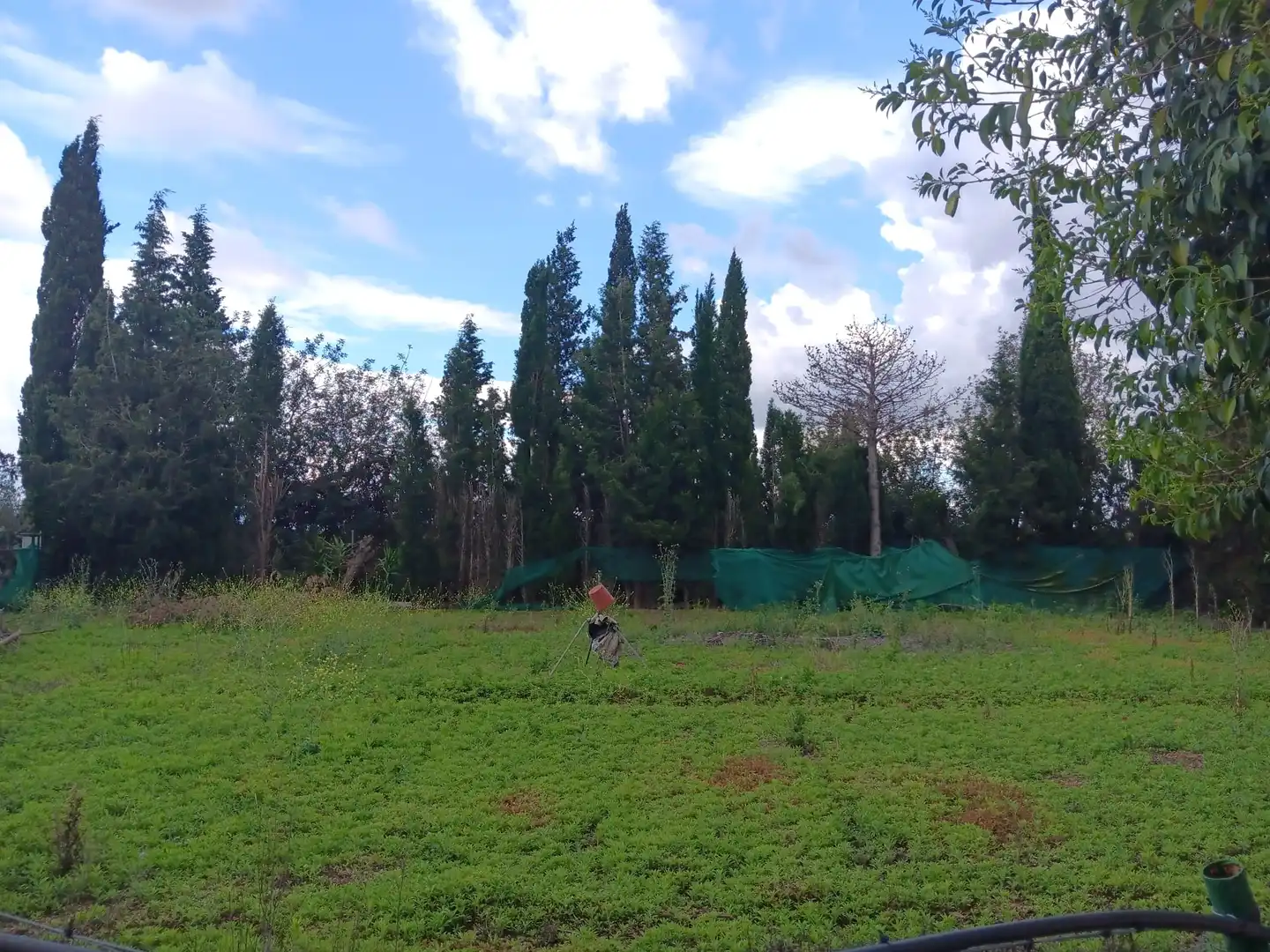 Casa o chalet en venta en Tortosa con Jardín privado