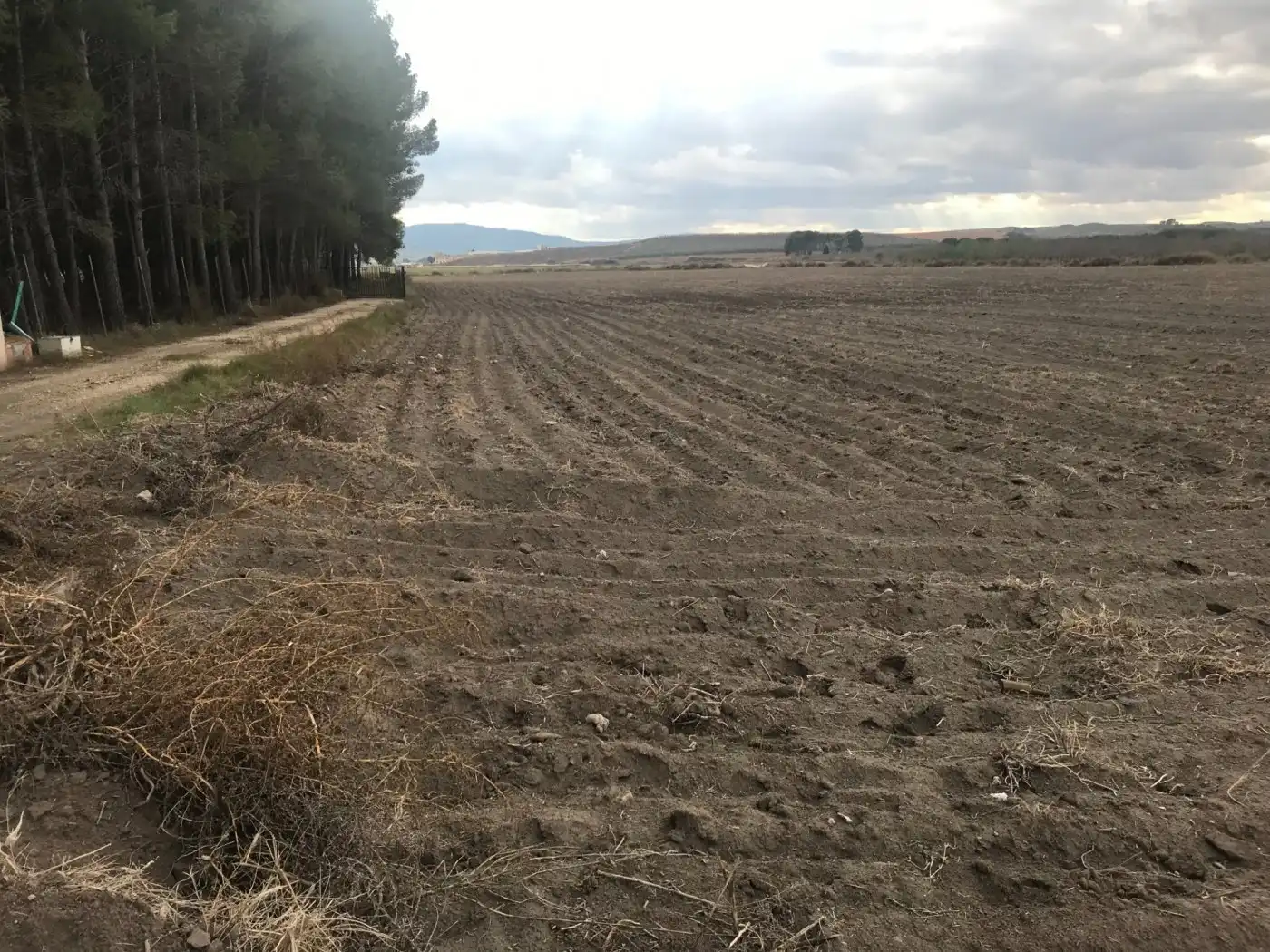 Grundstücke zum Verkauf in Villena