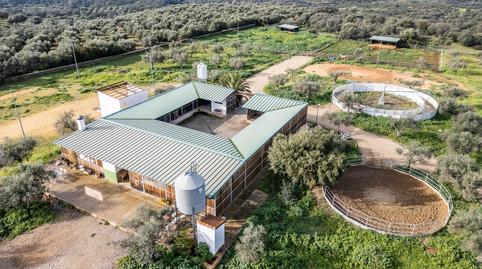 Photo 2 of Country house for sale in Gerena, Sevilla