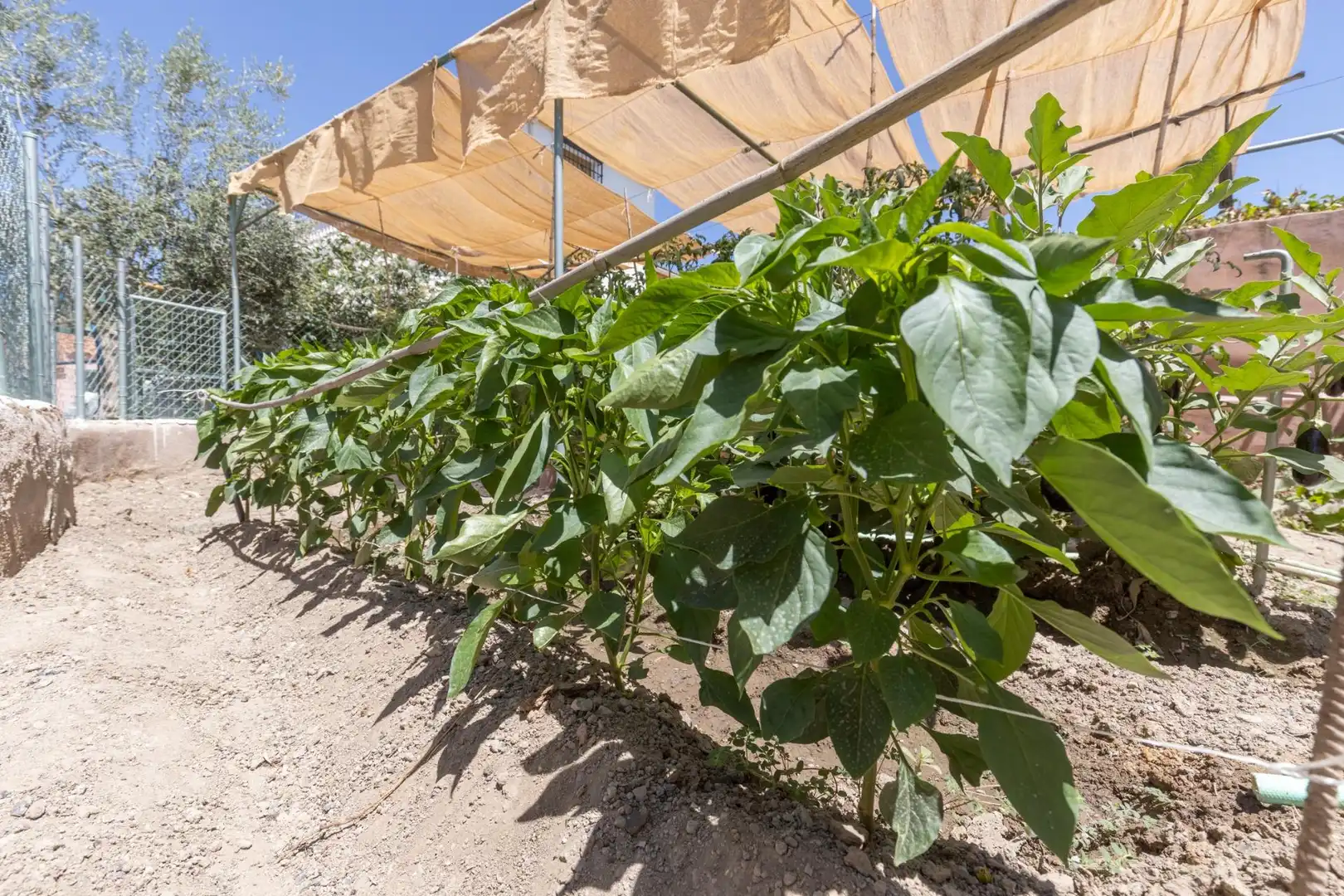Jardí de Casa o xalet en venda en Las Gabias amb Piscina comunitària