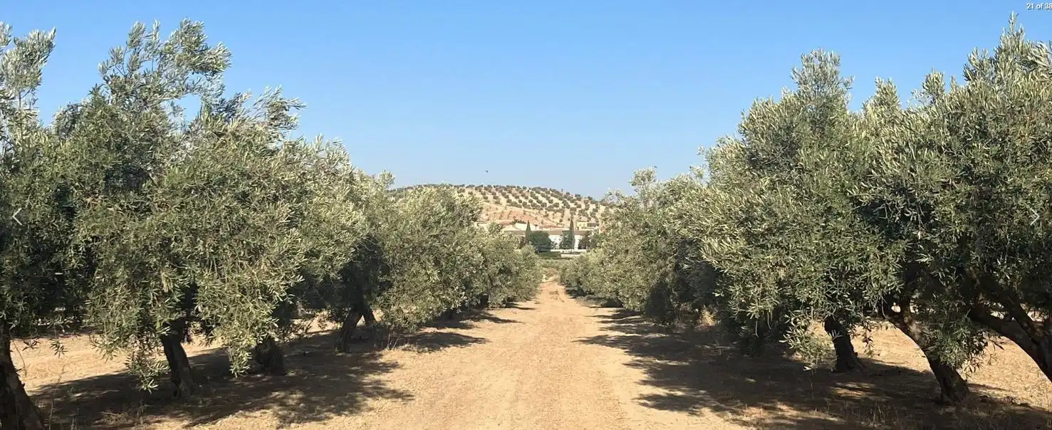 Vista exterior de Finca rústica en venta en La Malahá