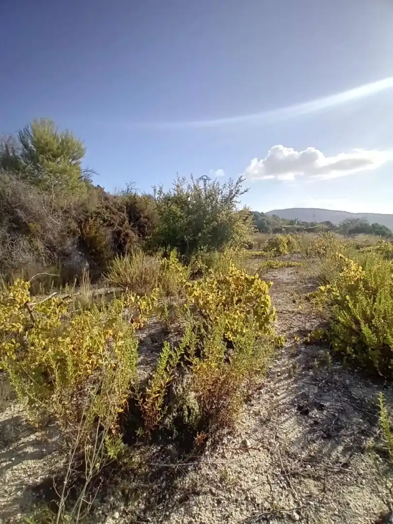 Terreno residencial en venta en Teulada, imagen 4