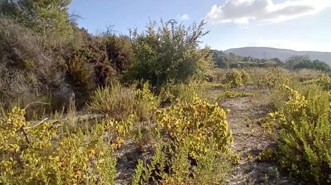 Preciosa Finca en Moraira, immagine 4