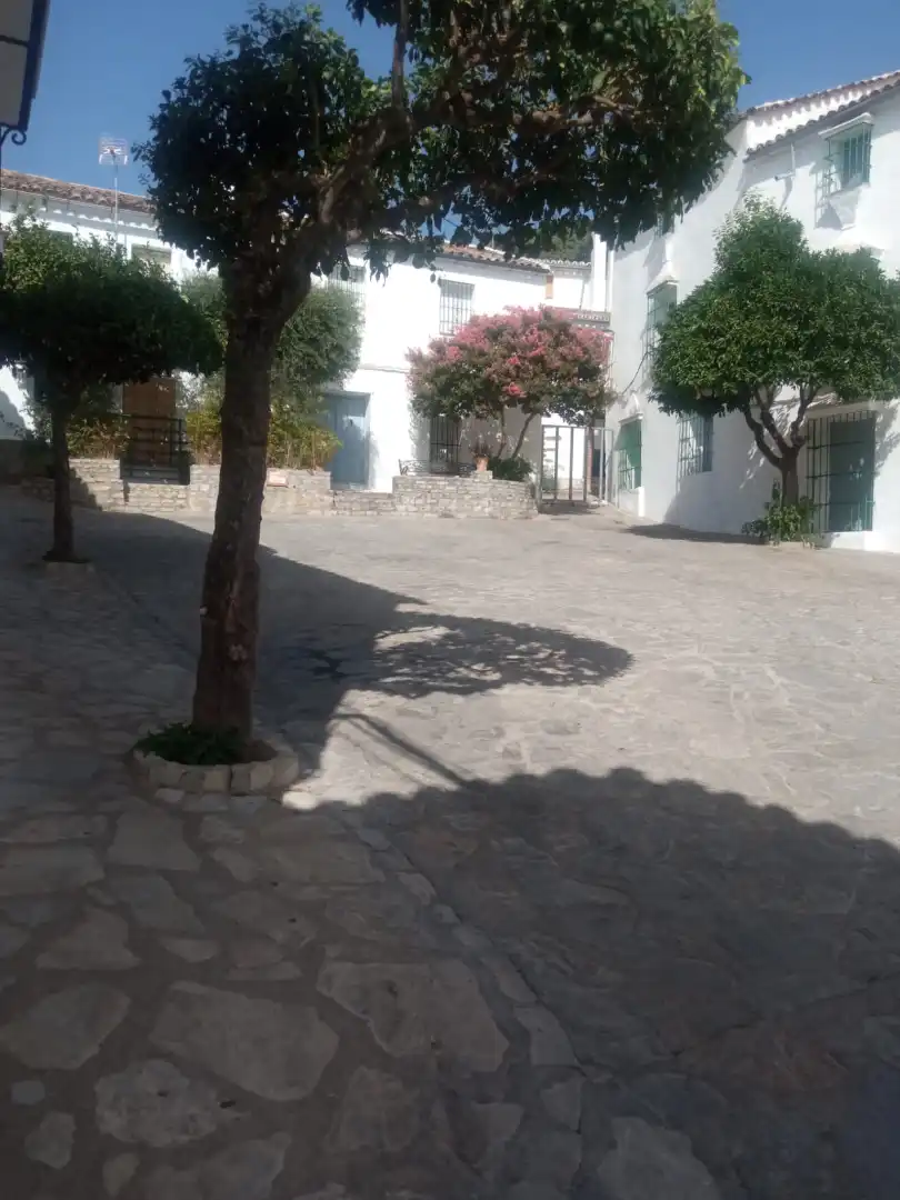 Vista exterior de Dúplex en venta en Benaocaz con Amueblado