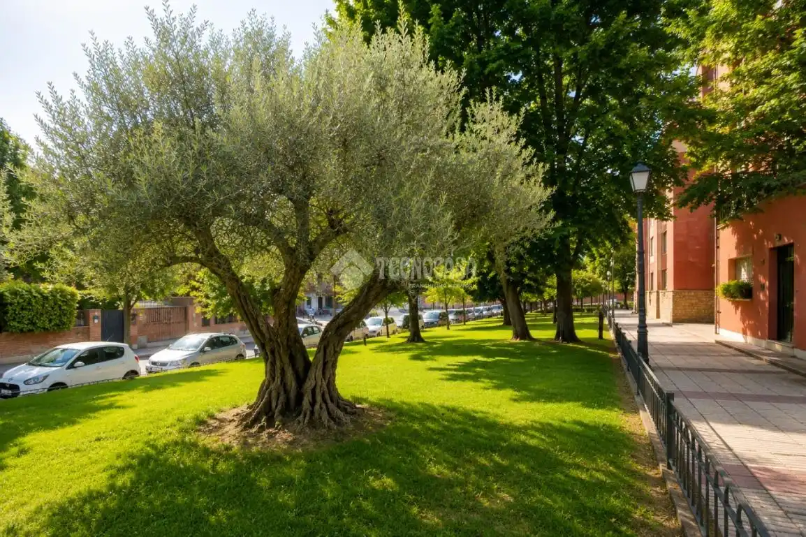 Garden of Flat for sale in Alcorcón