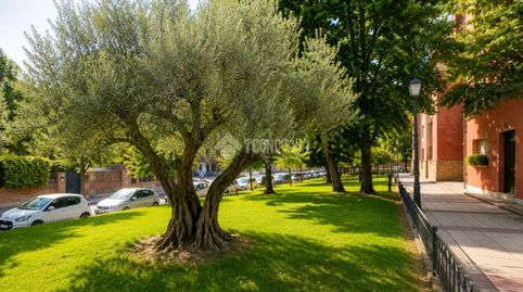 Photo 4 of Flat for sale in Campodón - Ventorro del Cano, Alcorcón