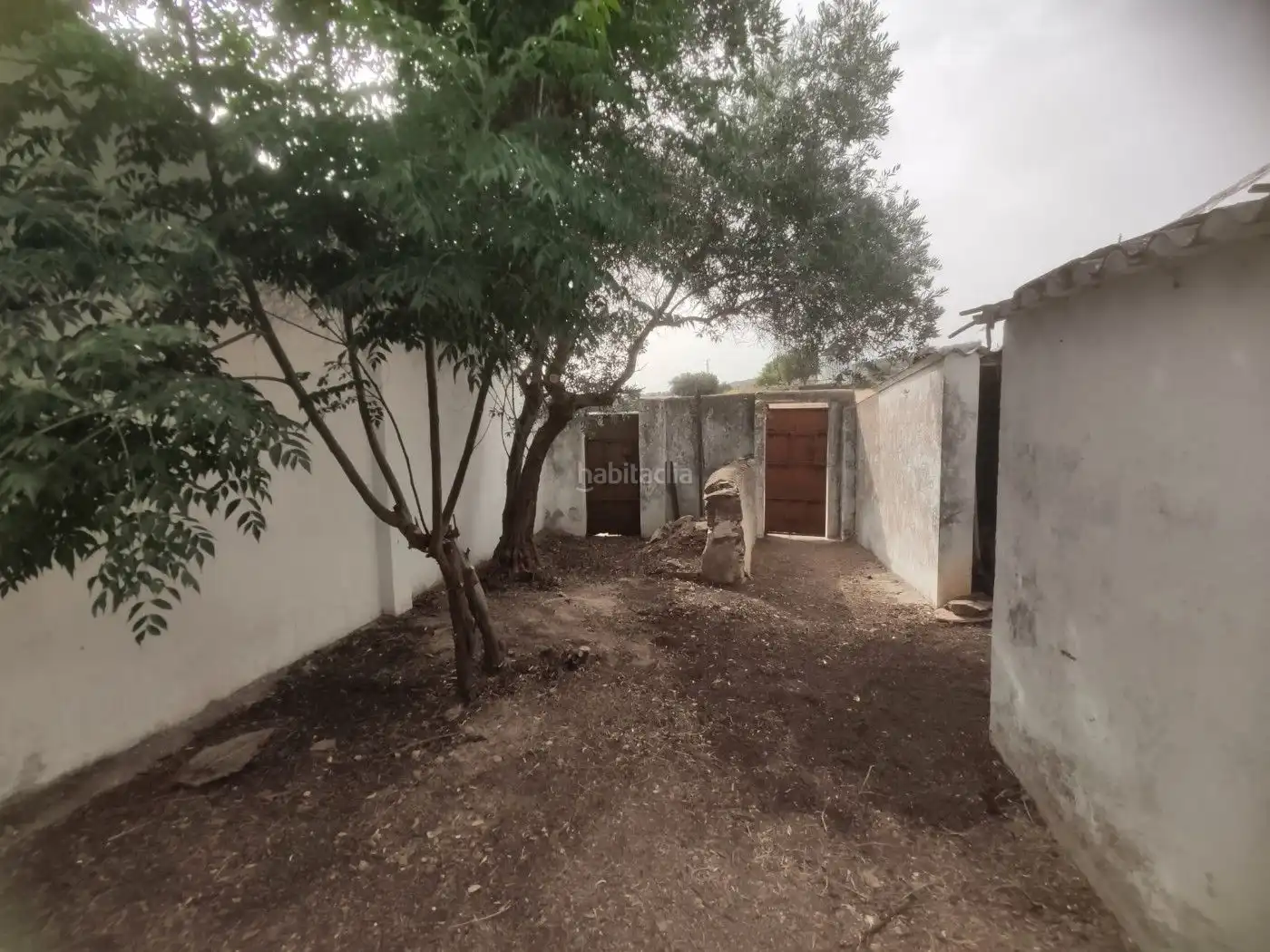 Haus zum Verkauf in Calle Alonso Morgado 96, imagen 5