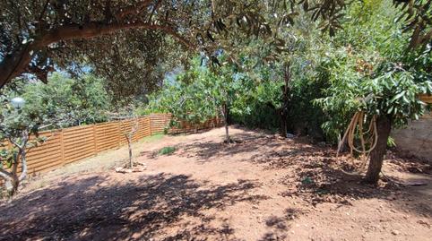 Foto 2 de Casa o xalet de lloguer a Centro - El Castillo, Sagunto / Sagunt