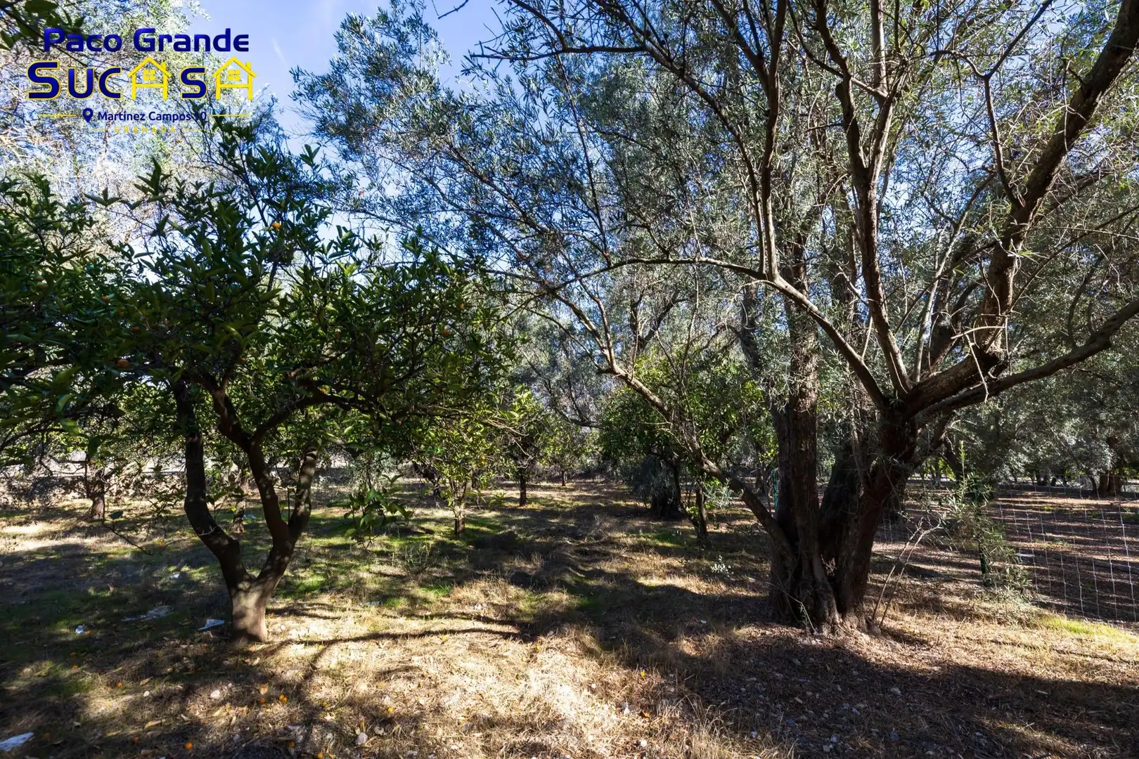 Terreno rustico in vendita a PINOS DEL VALLE, imagen 14
