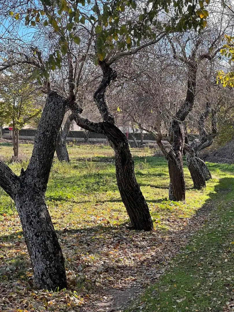 Casa o chalet en venta en Nuevo Baztán con Calefacción, Jardín privado y Trastero