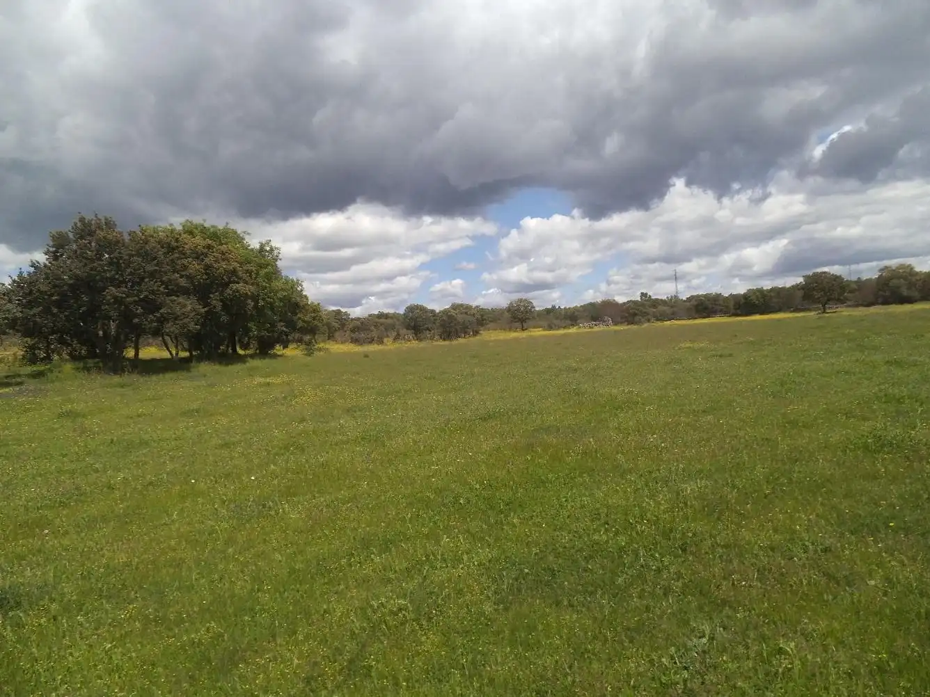 Residencial en venda en Valdemorillo