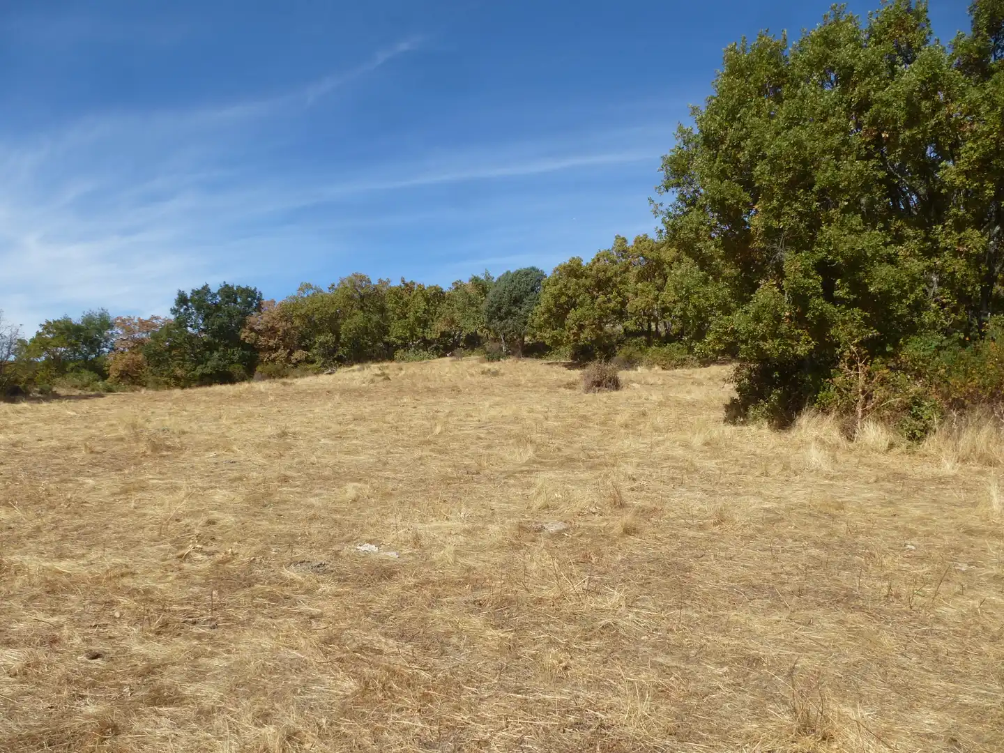 Terrain rustique à vendre à Calle de Prado Jerez, imagen 5