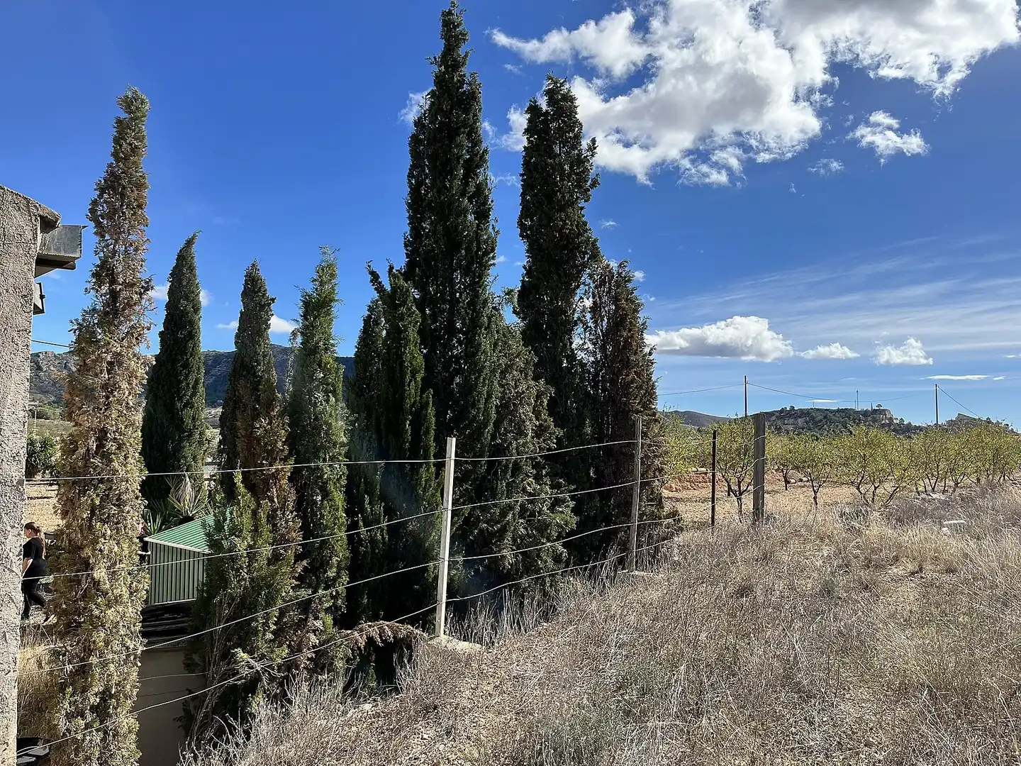 Landhaus zum Verkauf in La Murada - Los Vicentes, imagen 44
