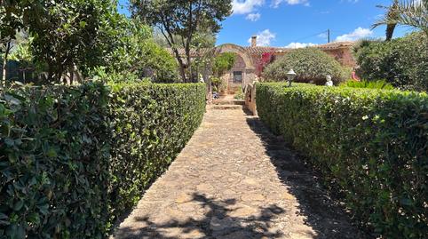 Foto 5 de Finca rústica en venda a Llucmajor pueblo, Llucmajor