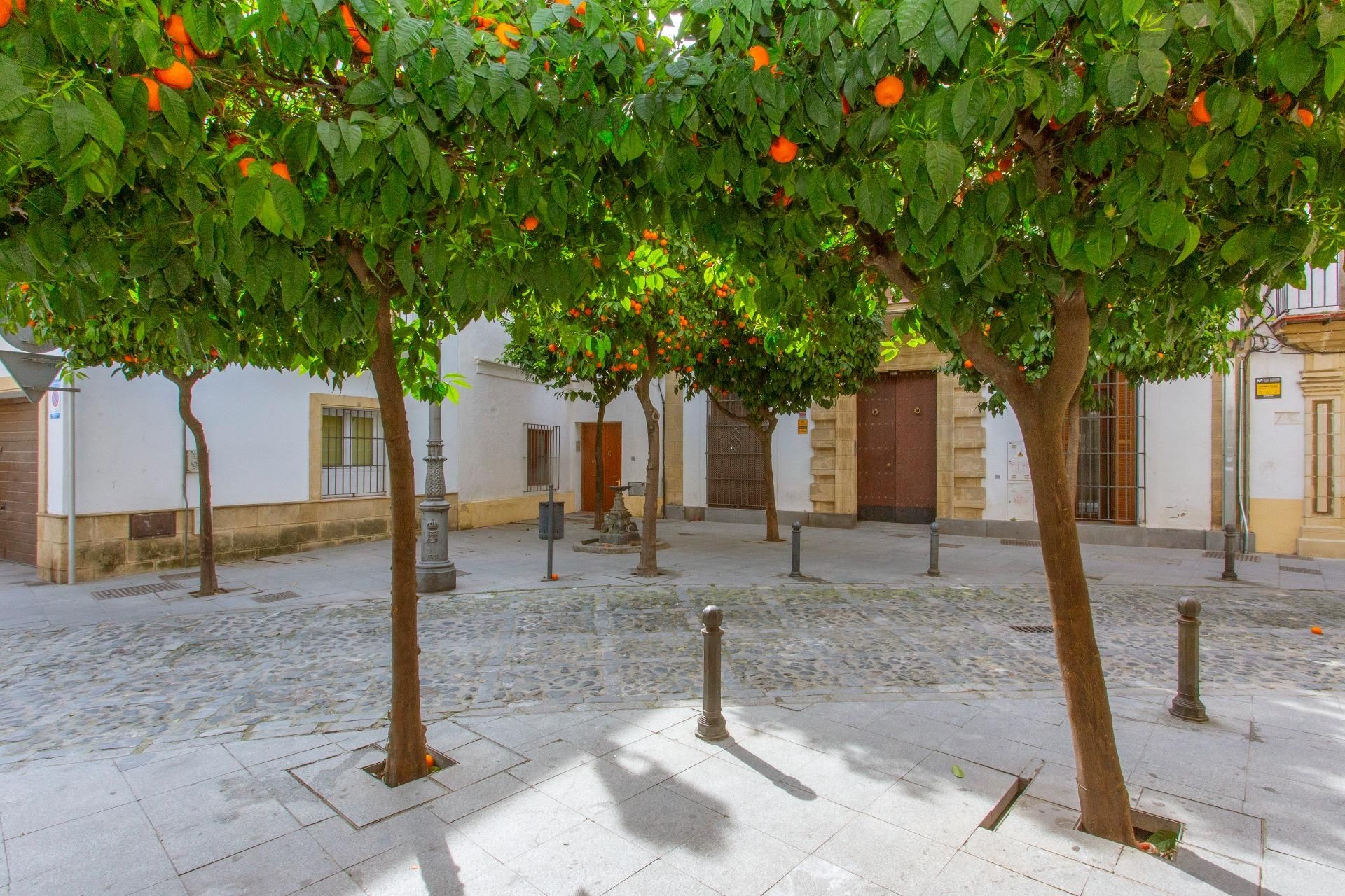 Vista exterior de Planta baixa en venda en Jerez de la Frontera