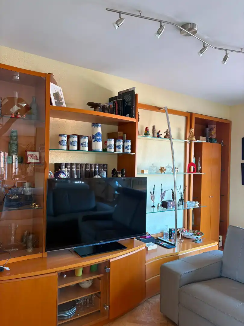 Sala d'estar de Dúplex de lloguer en Madrid amb Aire condicionat, Calefacció i Terrassa
