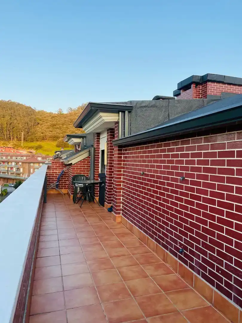 Terrasse von Wohnung zum Verkauf in Entrambasaguas mit Balkon