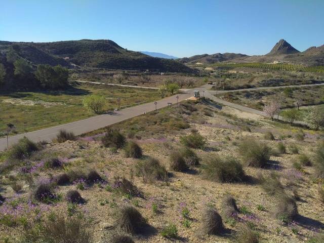 Terreno en Venta en El Fenazar - Campotéjar