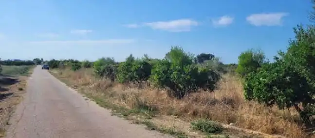 Rural land for sale in Partida Vilella, imagen 7