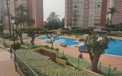 Piscina de Apartament en venda en Benidorm amb Terrassa i Piscina comunitària