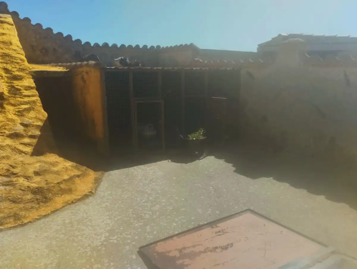 Vista exterior de Finca rústica en venda en Calvarrasa de Arriba