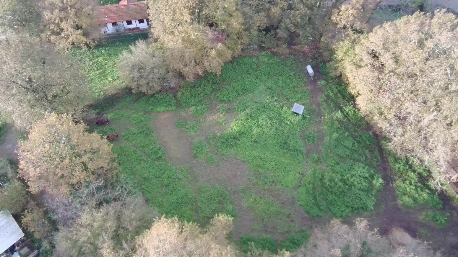 Rural land for sale in Ontoria - BO ONTORIA, imagen 5