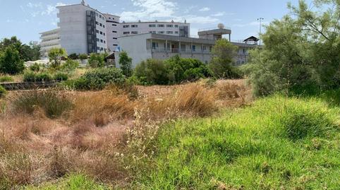 Photo 5 of Industrial land for sale in Port d'Alcúdia - Platja d'Alcúdia, Illes Balears