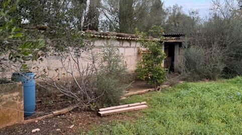 Foto 4 de Finca rústica en venda a Inca, Ciutat d'Alcúdia, Illes Balears