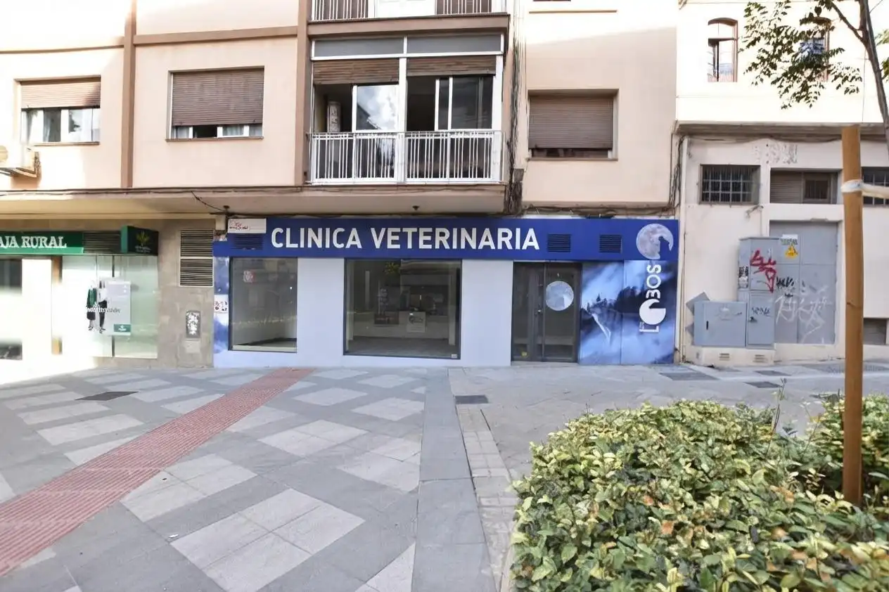 Local de alquiler en Centro